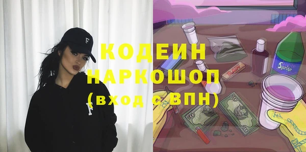 мдпв Богородск