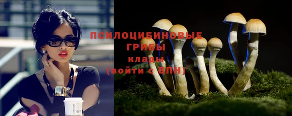дживик Богданович