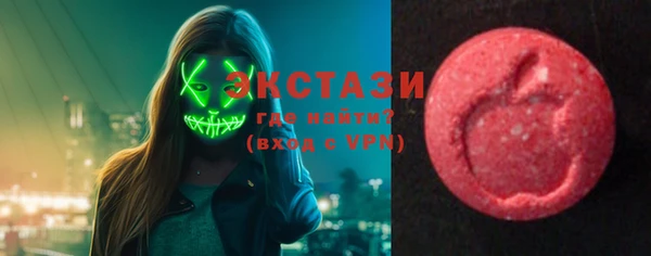 мдпв Богородск