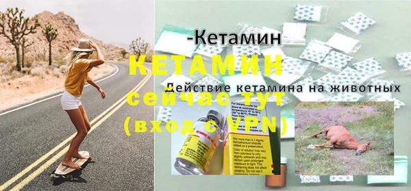 дурь Богородицк