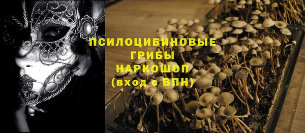 дживик Богданович