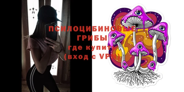 мдпв Богородск