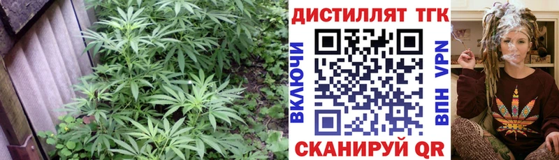 ТГК вейп  Волжский 