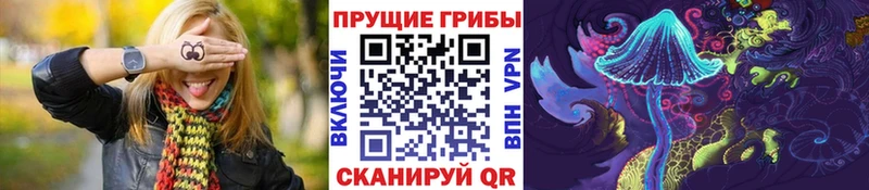 omg tor  Волжский  Галлюциногенные грибы мицелий  купить закладку 